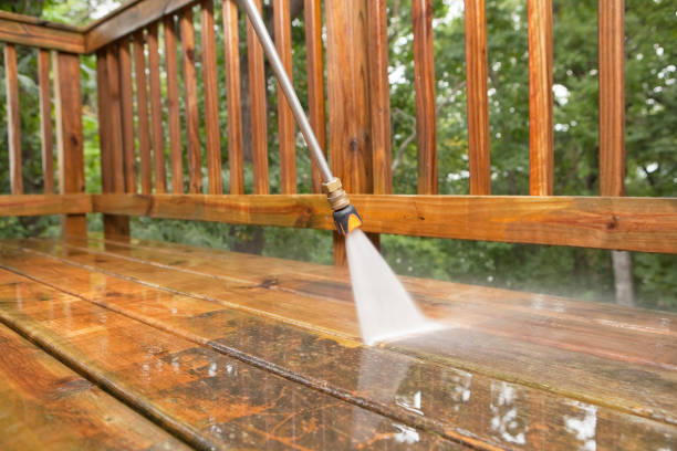 Best Local Pressure Washing Services  in Carrizo Springs, TX