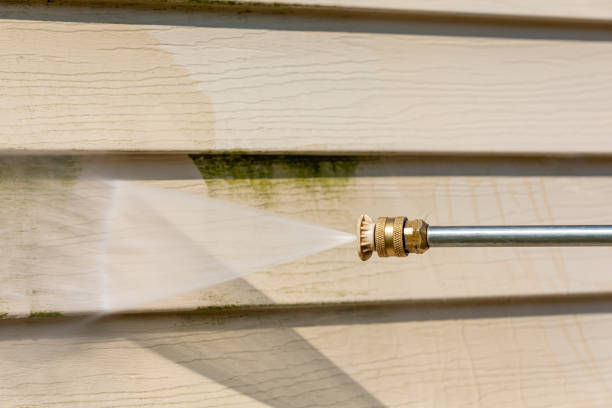 Best Fence Pressure Washing  in Carrizo Springs, TX